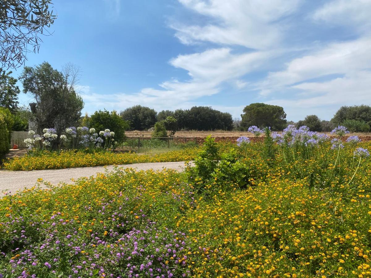 Casa Anna, Agriturismo Alla Castellana Gallipoli Exterior photo
