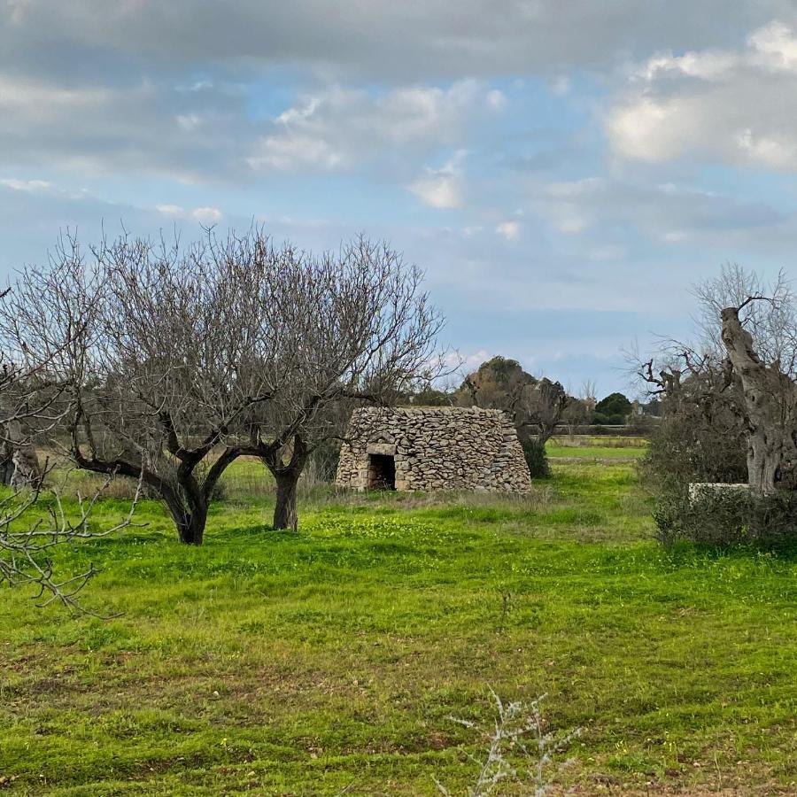 Casa Anna, Agriturismo Alla Castellana Gallipoli Exterior photo